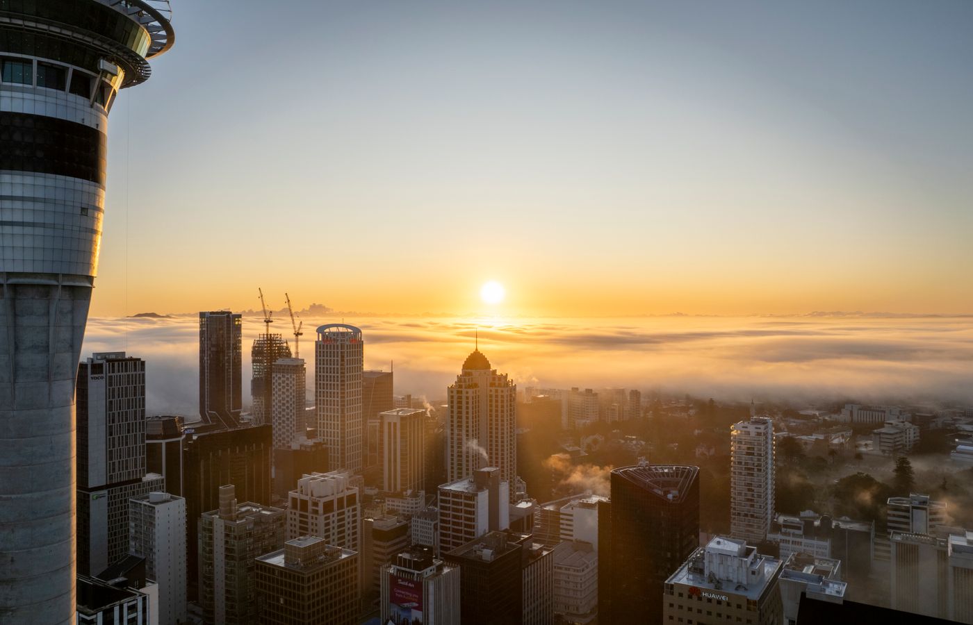 Auckland Sky Tower and city skyline at sunrise